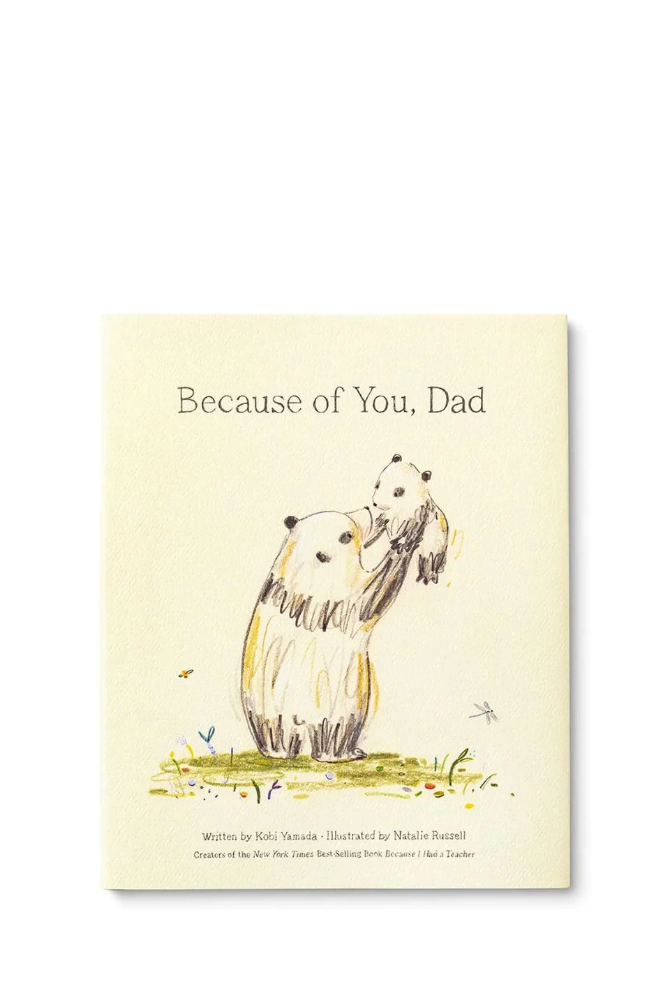 Because of You Dad