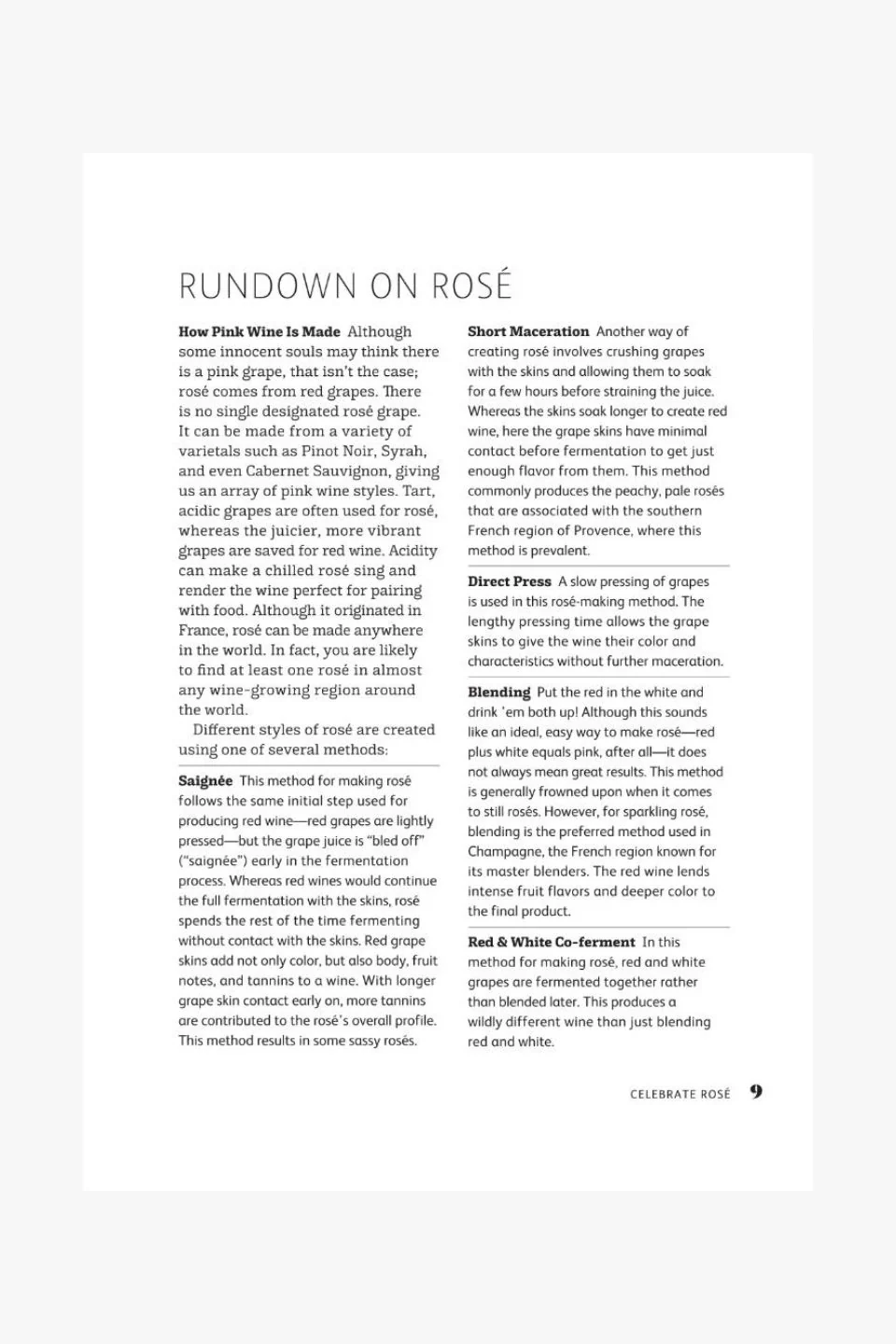 Celebrate Rose - Image 4