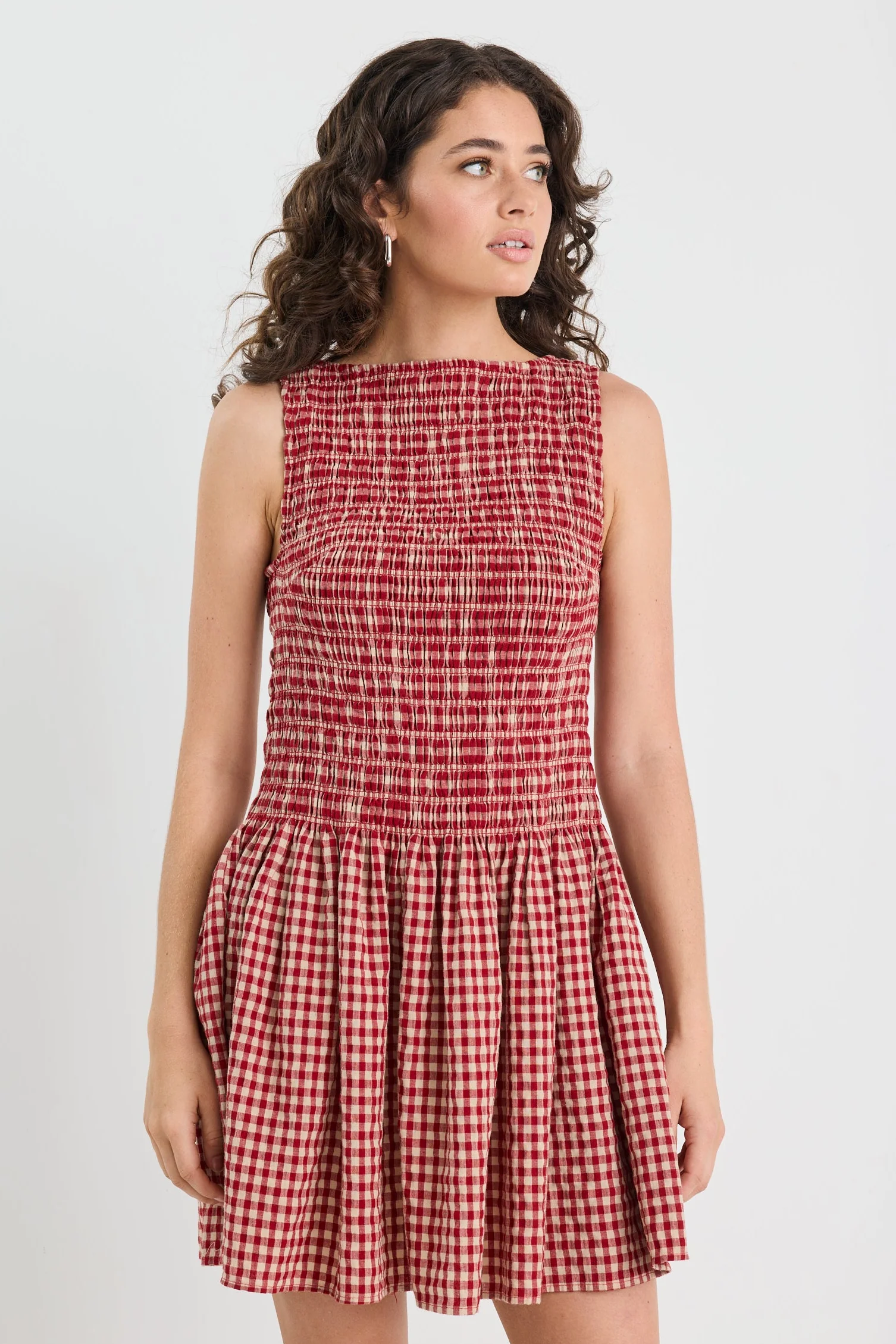 Rowan Red Cream Gingham Sleeveless Shirred Bodice Mini Dress - Image 3