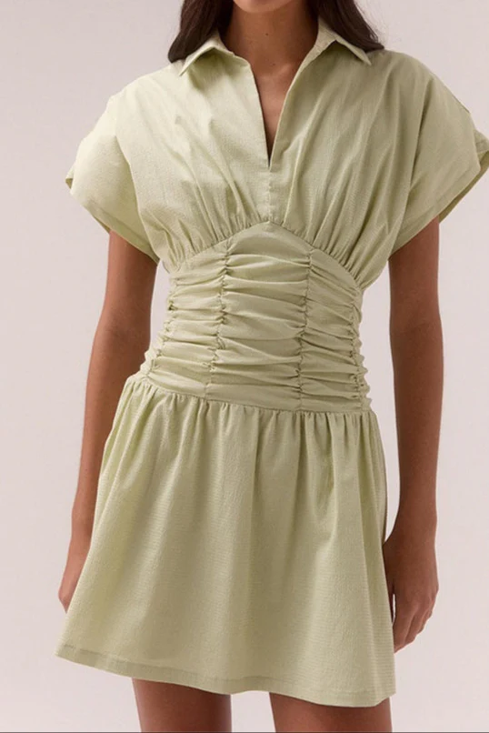 Stellar Aloe Ruched Waist SS Mini Dress - Image 4