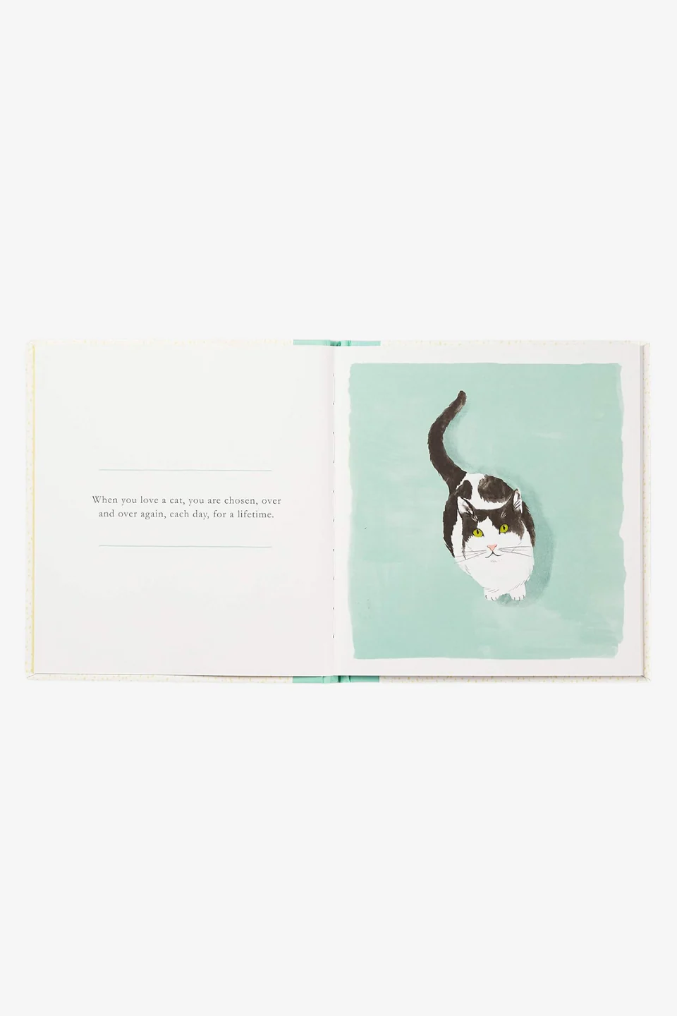 When You Love A Cat - Image 4
