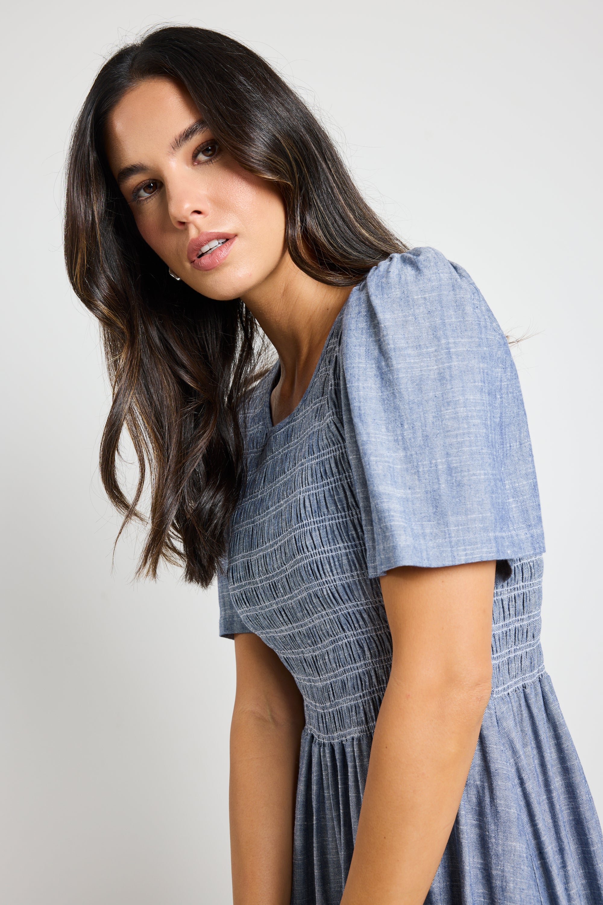 Wren Chambray Blue SS Shirred Bodice Midi Dress - Image 5